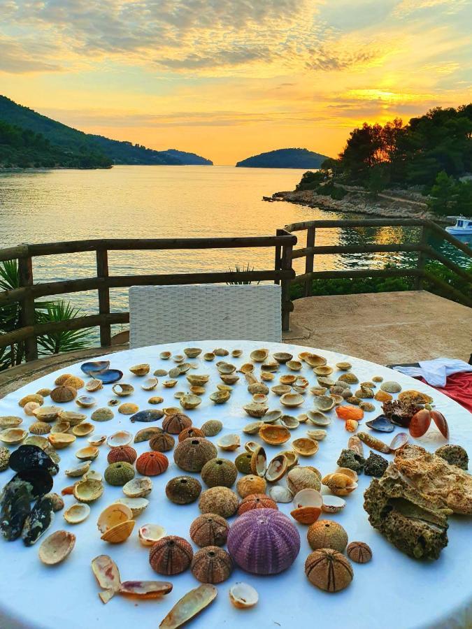 Casa Naranja Croatia Apartment เวลาลูกา ภายนอก รูปภาพ
